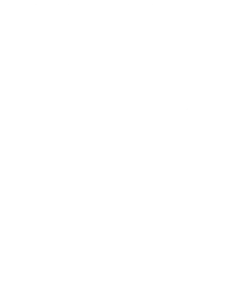 I love NY Slice