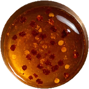 Hot Honey sauce